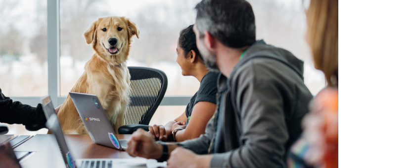 From New Partnerships to New Channels: 3 Ways SPINS is Innovating Now