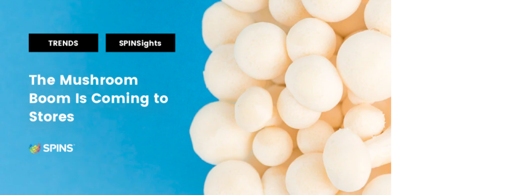 Make Room on Your Shelves for Shrooms