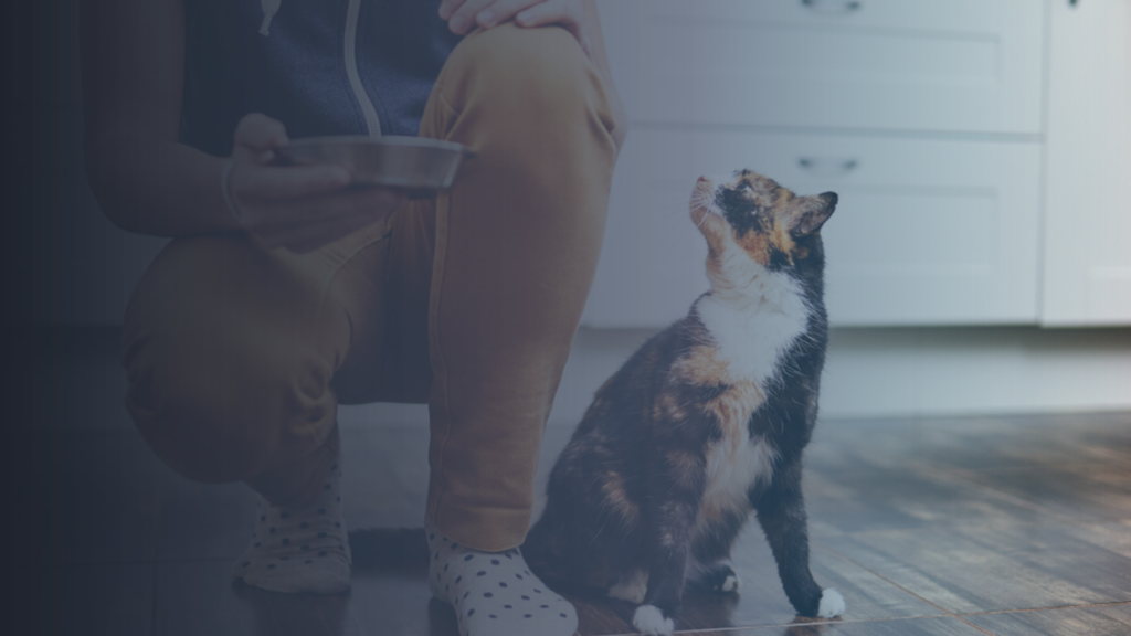 Get to Know Today’s Pet Industry with Goldman Sachs
