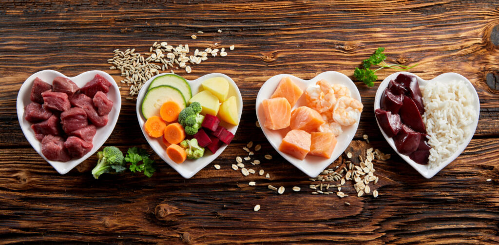 From Ingredients to Packaging: How Sustainability Is Influencing the Pet Industry