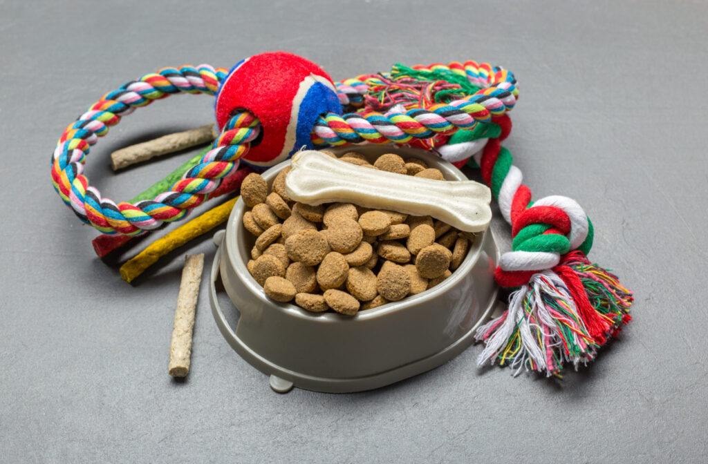5 Innovation Challenges for Pet Store Owners and How to Leverage Pet Retail Data