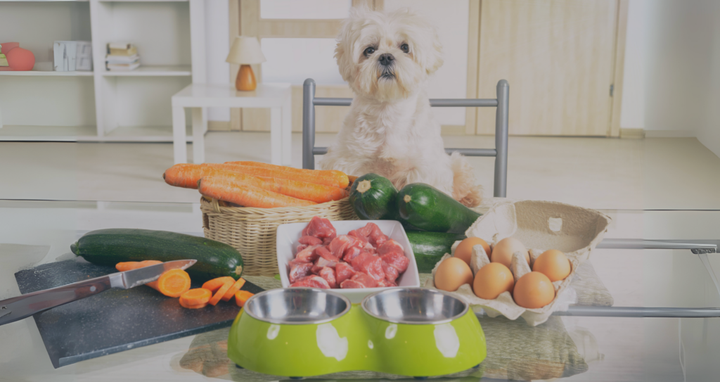 The Pet Industry’s Evolution in 2024 and Beyond