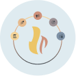 Insights for Emerging Brands with SPINS Ignite+
